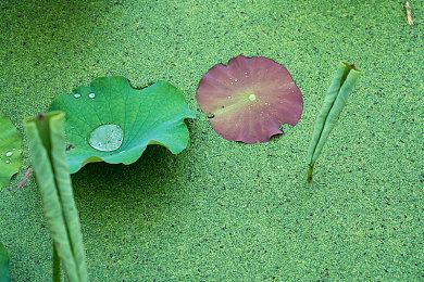 E3 2021：《彩虹六号：异种》中文版15分钟试玩